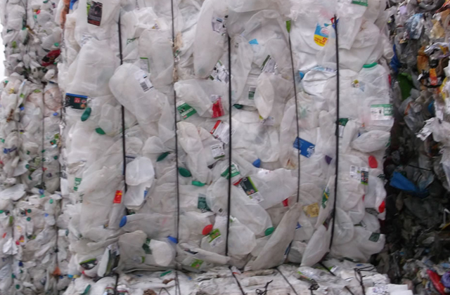 HDPE Milk Bottle Scrap for sale