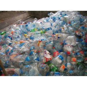 PET Bottle Scrap for sale